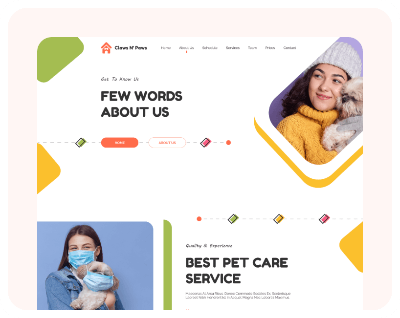 Vasile Ciausu Programator