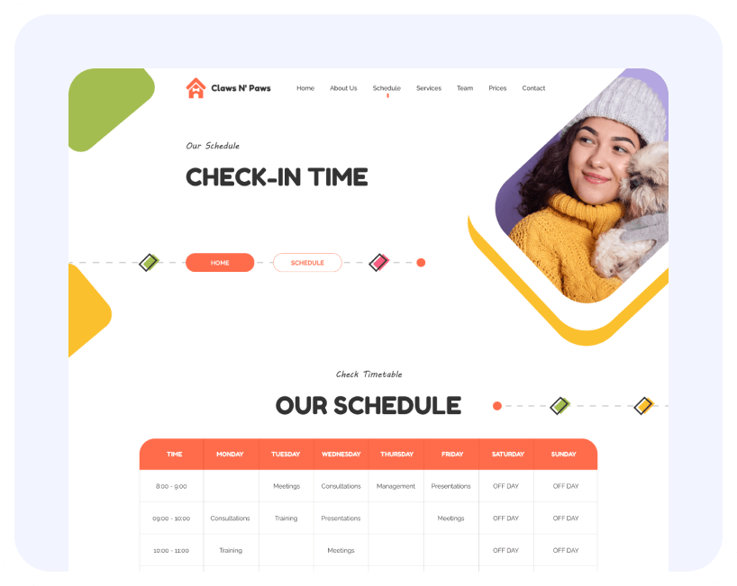 Vasile Ciausu Programator