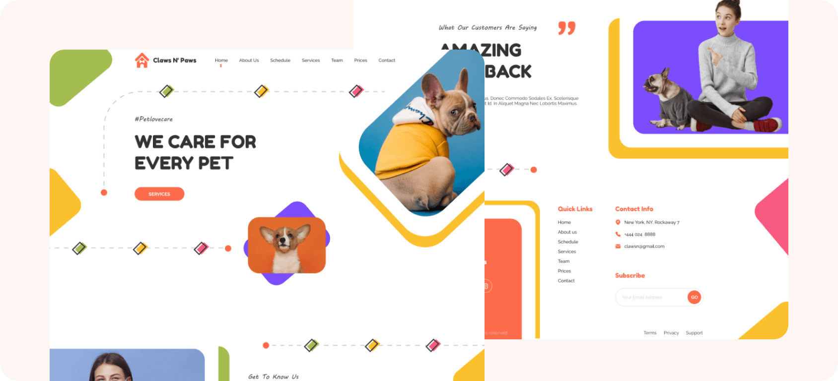 Vasile Ciausu Programator